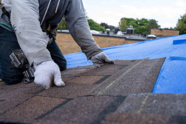 Best Residential Roofing Contractor  in Tifton, GA