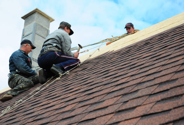 Best Storm Damage Roof Repair  in Tifton, GA